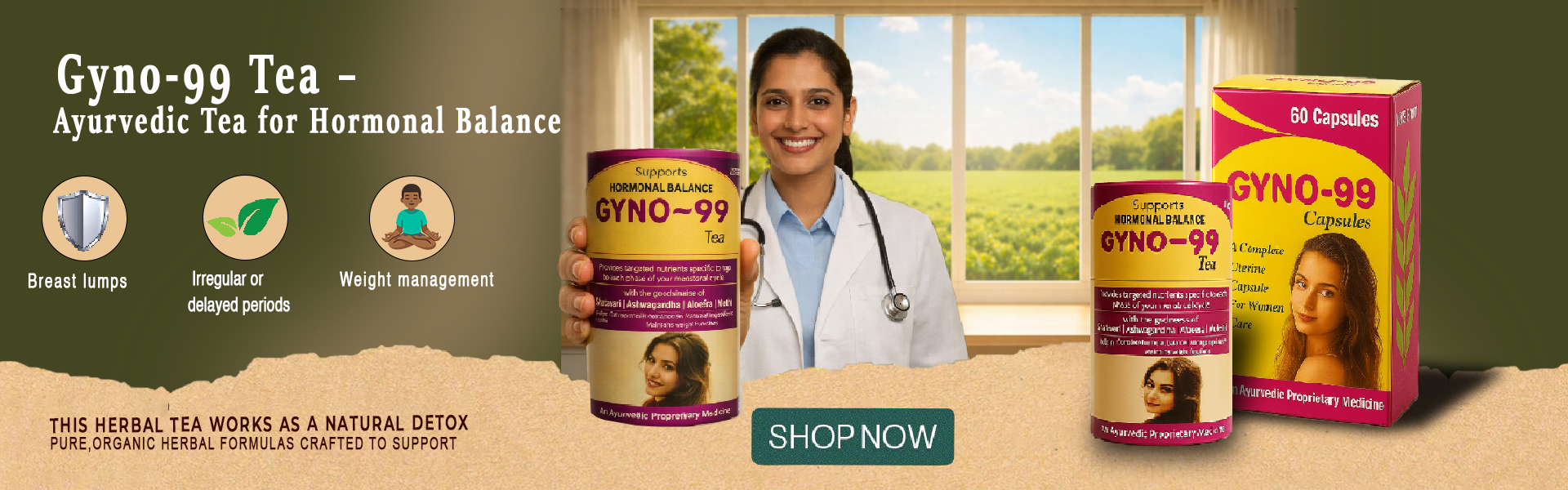 banner ayurveda